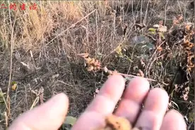 这两天有点受风感冒，腿也疼，邻居大嫂告诉我个好方法视频封面