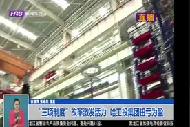 喜报！“三项制度”改革激发活力，哈工投集团扭亏为盈视频封面