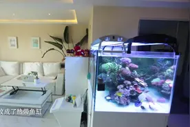 明星欧阳羽臣的家，进门的鱼缸玄关，扩大了空间感视频封面
