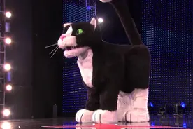 巨型玩具猫舞台当中拉粑粑，这个表演真是够了！【搞笑】视频封面