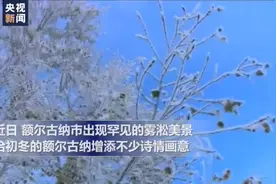 雾凇奇景让额尔古纳进入美丽的童话世界视频封面