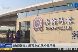 屋顶上开马术俱乐部，经查发现俱乐部无相关饲养手续，还违规搭建视频封面
