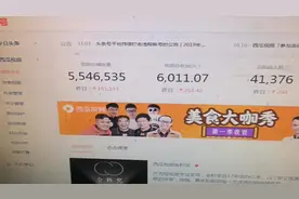 农民李磊加上黄V以后，这收益变化太大了，快来看看吧视频封面