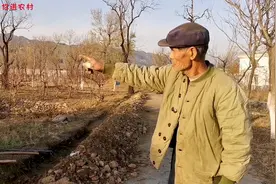 农村大爷的防盗小妙招，果园不修围墙无需看守，只因种了这种植物视频封面
