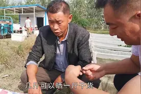 晒干的蚂蟥1斤能卖600多，形状短的为何比长的值钱？视频封面