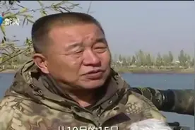 南海湿地迎来南迁候鸟，低空飞翔、觅食嬉戏，一片生机勃勃景象视频封面