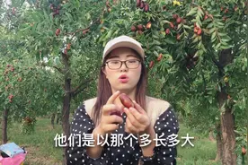 宁夏灵武长枣原产地直发，5斤包邮只要19.8，大家觉得贵吗？视频封面
