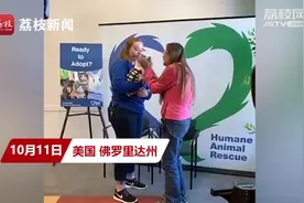 美国狗狗走失12年离家1800千米，与主人重逢上演动情一幕视频封面