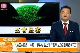 寒锐钴业交出最差半年报：上半年盈利从5亿到亏损8千万视频封面