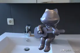 浴室里弹琴的猫图片