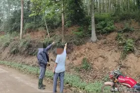 广西钦州：林地权属界限不清导致二级公路征地补偿无法发放，耽误项目进展引纷争，司法调解促维稳图片