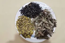 中医脉诊-论高血压的辨治图片