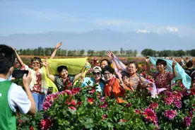 走，乌鲁木齐南山花海赏花去图片