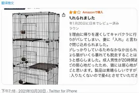 日本男子骗老婆要加班却去了夜店，回家被老婆锁猫笼子里20小时…图片