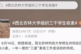 3000多名大一学生收麦子，却被指作秀？高校回应图片