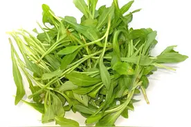 清明过后，6种野菜要抓紧吃，鲜嫩正当季，错过又得等一年图片