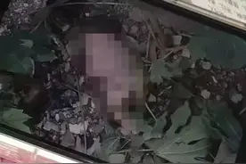 17岁学生遗弃婴儿：性教育的缺失，究竟让孩子付出了多大的代价？图片