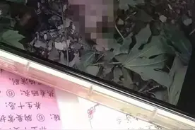 17岁学生遗弃婴儿：性教育的缺失，究竟让孩子付出了多大的代价？图片