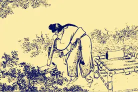 故事：民间故事：狐狸偷鸡，善心婆婆将它救下，几年后却是狐狸送走了她图片