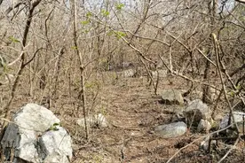 五峰狼窝山图片