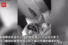 视频丨最惨铲屎官！美国一女子经常被两只追逐奔跑的宠物猫踩脸图片