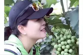 黎明的曙光图片