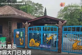 官方回应饲养员被老虎袭击身亡：隔离门未锁好，55岁在编职工入笼内打扫发生不幸图片