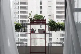 一个叫家的地方。一个叫家的地方。图片