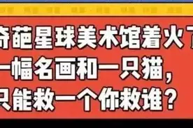聊聊历史上险被烧毁，一半在台湾，一半在大陆的《富春山居图》图片