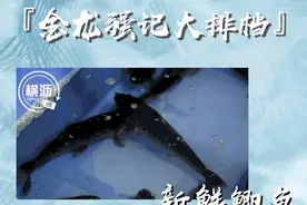 终于！东莞这家“神秘失踪”的鲫鱼粥找到了图片