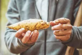 冬笋好吃不容易保存，教你几个小技巧，放一年都新鲜！视频封面