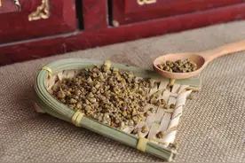 用耳朵学中药｜野菊花图片