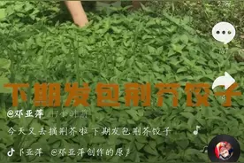 47岁邓亚萍审美遭质疑，花衣粉裤出镜，蹲田地里摘菜好似村妇图片