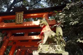 「原创」「旅行游记」遇见温柔——日本关西冬日之旅图片