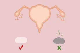 为什么女性的内裤天天都换洗，却还是发黄？黄色分泌物是什么？图片