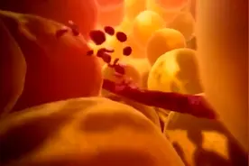 伤口愈合全过程，有没有觉得很神奇视频封面