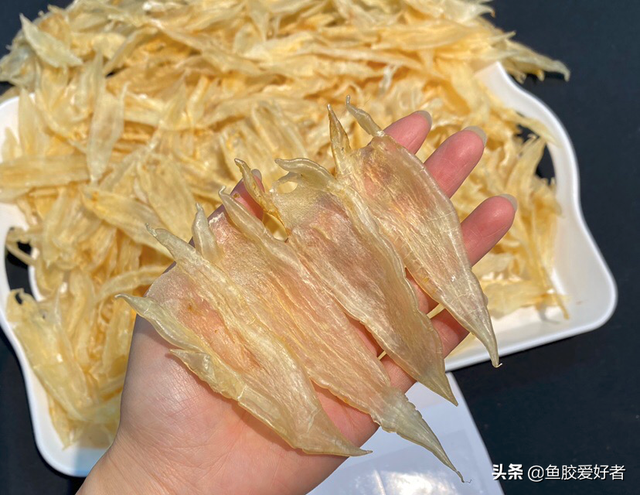 黄花皎北海花胶 2026年北海黄花胶的功效与作用