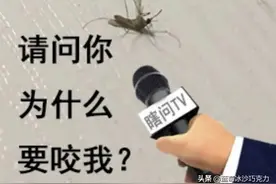 2021的蚊子是变毒了吗？图片