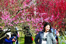 不负好春光 赏花正当时！合肥周边最佳赏花地图片