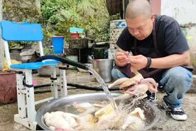 水城茨冲鸡火锅：好山好水好味道图片