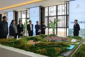 莲花山度假区5000万以上项目开复工34个图片