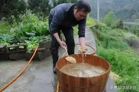 「建议收藏」蔬菜种子浸种催芽常用方法图片
