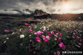 （强）黑科技.背单词 34．夜归奇遇图片