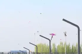 注意！太原市大部分区域严禁放风筝图片