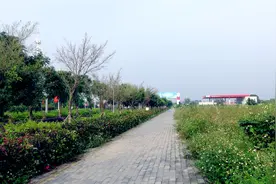 2021秋冬北海看房参考(1)：三大变化今时不同以往图片