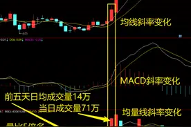 MACD高级说明书（4）：一文讲透三朵金花涨停战法图片