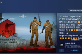 我被Steam上爆发的“吃鸡梦”盗号了图片