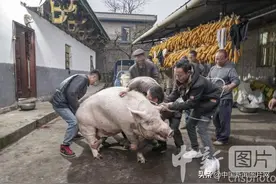 四川凉山彝族同胞欢度彝族年图片