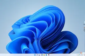 windows 11 pro已安装图片