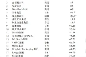 中国中低端产业的品牌化图片